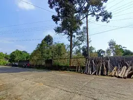 Kebun durian produktif dimatesih