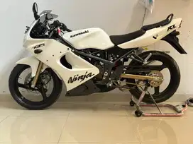 Ninja rr albino 2010