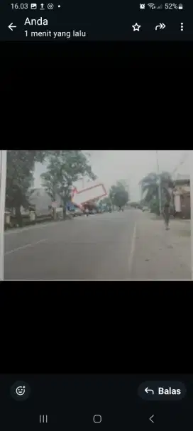 Dijual tanah pekarangan  di jl Ry Tanggul no 5 Luas 428 m2