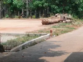 Tanah kavlingan luas 93 m lokasi cocok untuk rumah tinggal jln mobil