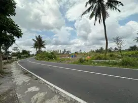 TANAH PEKARANGAN PINGGIR JALAN RAYA STRATEGIS
