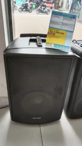 Speaker polytron