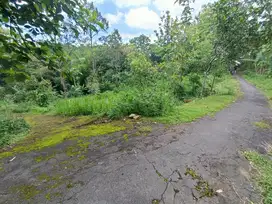 Tanah murah cocok buat kebun buah