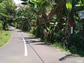 Hot For Sale...6 Ara Land in Lovina