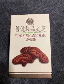 Shuang Hor Yung Kien Ganoderma