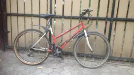 Federal lady cycle 2000