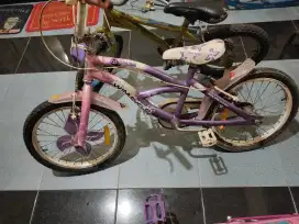 Jual sepeda anak perempuan