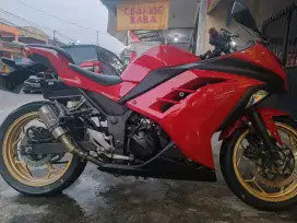 KAWASAKI NINJA 250CC F1