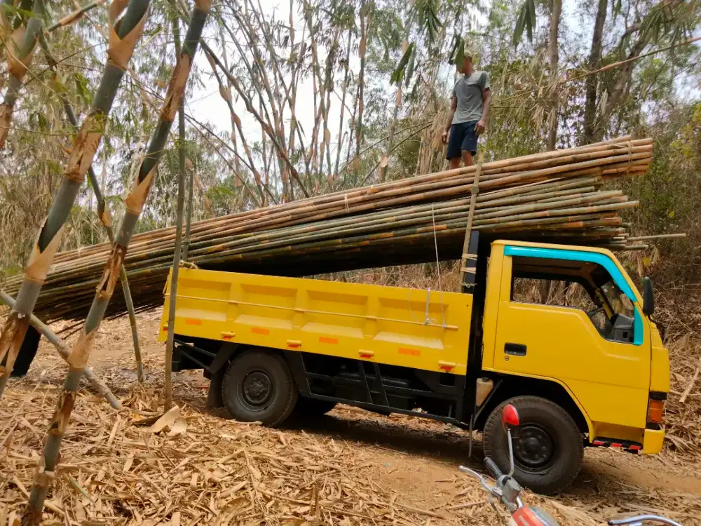 Sewa engkel angkut barang cikarang
