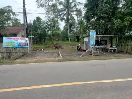 Tanah Luas di Jual murah arah sebelum bandara Apt Pranoto Samarinda