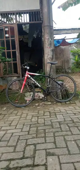 sepeda cervelo P2C