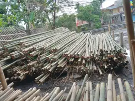 Bambu esteger Dan Reng bambu buat pagar