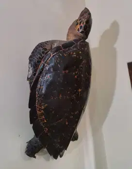 Patung Ukiran Kayu Motif Penyu Jadul Tua