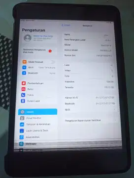 Ipad mini 4 128 Wifi only