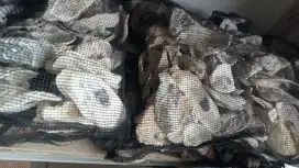 Isi Filter kolam koi Minamalis