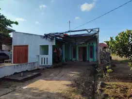 Dijual tanah, rumah dan toko