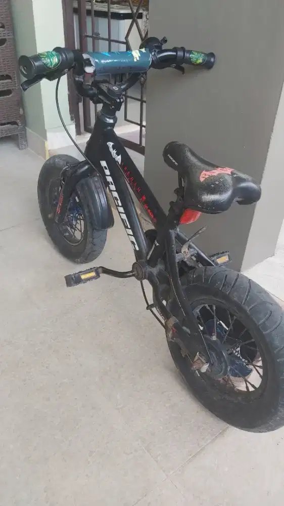 Sepeda Anak Pasific