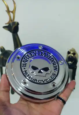 Harley Skull Cover Filter