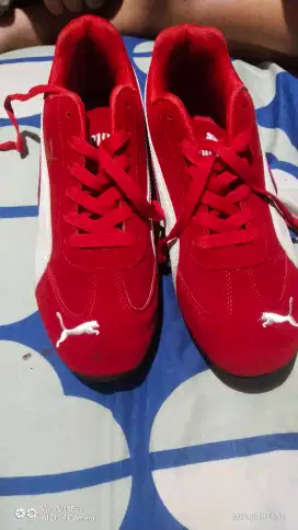 Jual sepatu cowok cewek bisa pakai