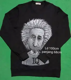 Sweater Albert Einstein size M