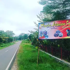 DIJUAL TANAH WISATA ALAM JASMINE FARM LEBAK