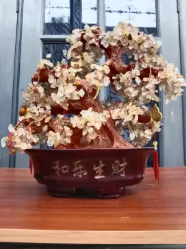 Pohon  fengshui