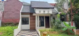Nature Mutiara Sentul