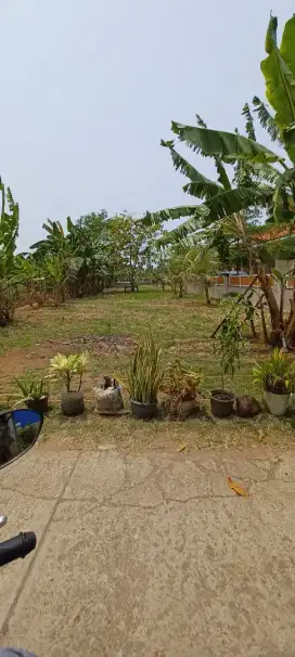 Dijual tanah luas 900m2 dekat Jl. MT haryono baru Cilacap kota