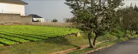 Tanah di Komp Setiabudi Regency, Mainroad, Jalan Lebar