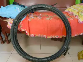 Ban sepeda schwalbe smart