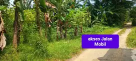 Di jual tanah kebun murah Jasinga Bogor