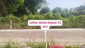 Di jual tanah kebun murah Kemang Parung bgr