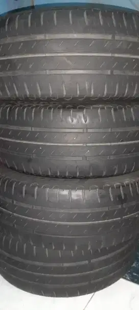 Ban Copotan Bridgestone Ecopia 205 55 R16