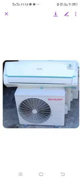 Ac Sharp 1/2pk mulus