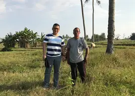 Dijual tanah pertanian/ perkebunan Branti Raya, Natar, Lampung