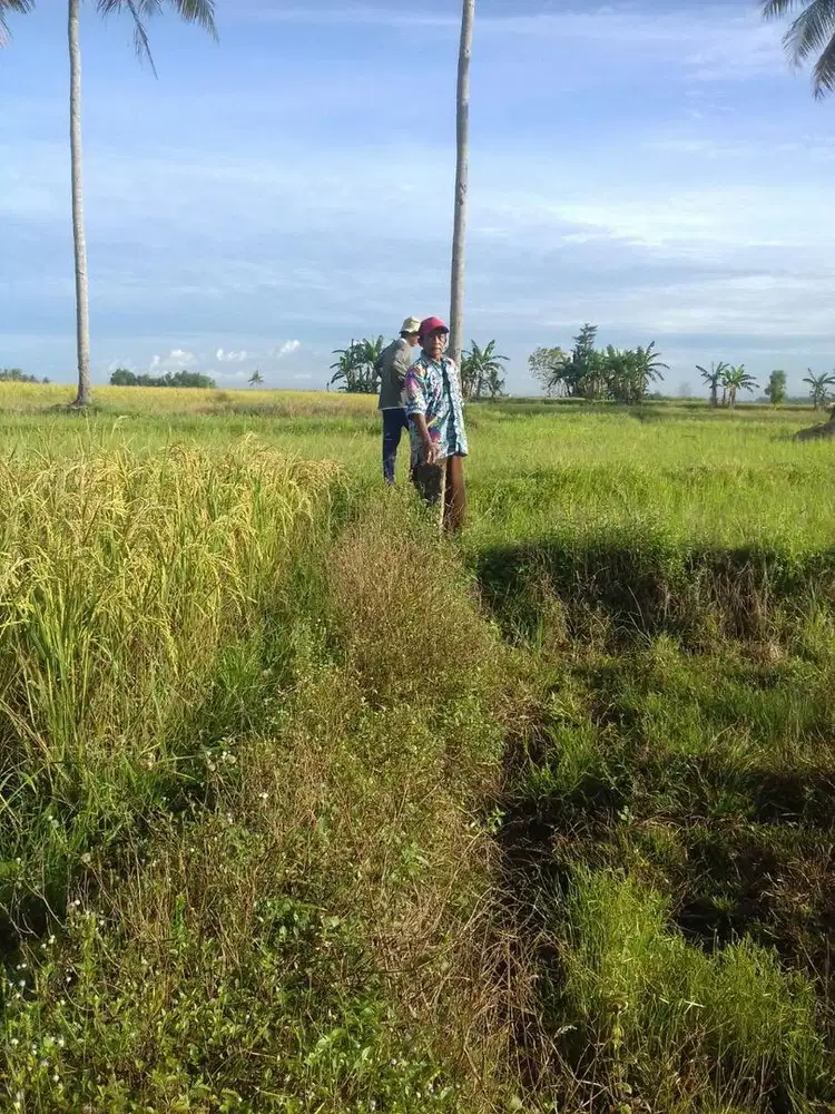 Dijual tanah perkebunan Branti Raya, Natar, Lampung