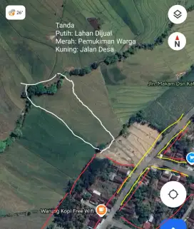 Jual Tanah Sawah Produktif Padi SHM Luas 4423 Meter