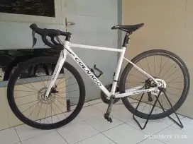 Roadbike Colnago Titel