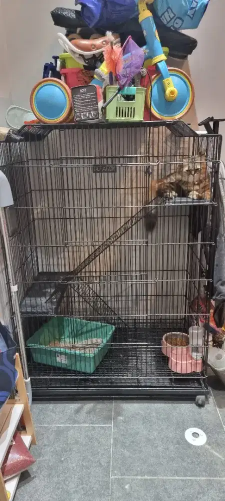 Kandang besi octagon