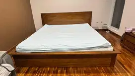 Bed jati Asli 2mx2m no minus