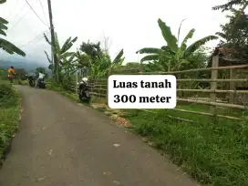 Di jual tanah kebun murah lokasi gunung bunder pamijahan bogor