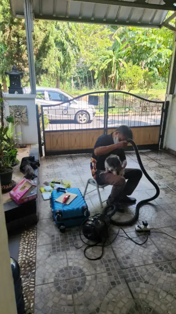 Tiny pet Grooming panggilan