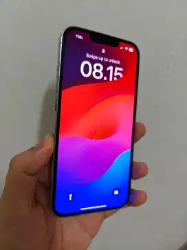 iPhone 13 Pro 512GB
