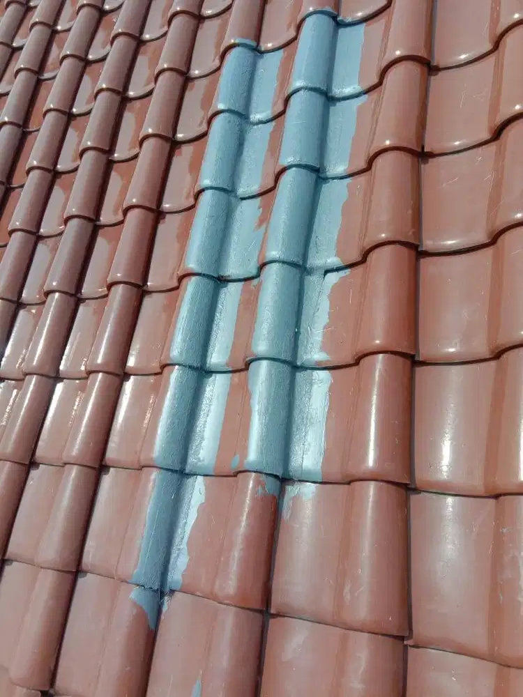 tukang bocoran talang bocoran dak