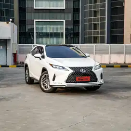 Lexus RX300 luxury 2021