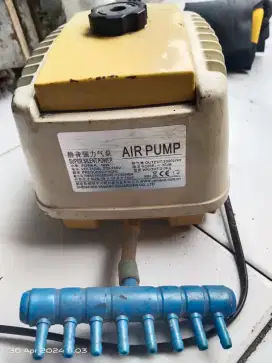 AIR PUMP Di jual cepat alat oksigen aquarium 6 selang