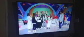 Tv LED Coocca 50 inch