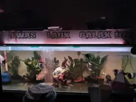 Aquarium fullset