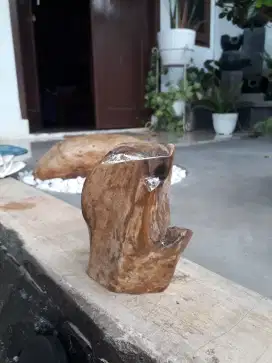 Fosil kayu Unik