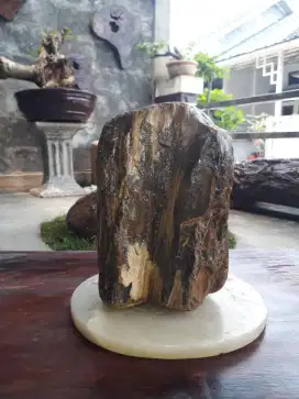 Fosil Kayu Unik dan Antik